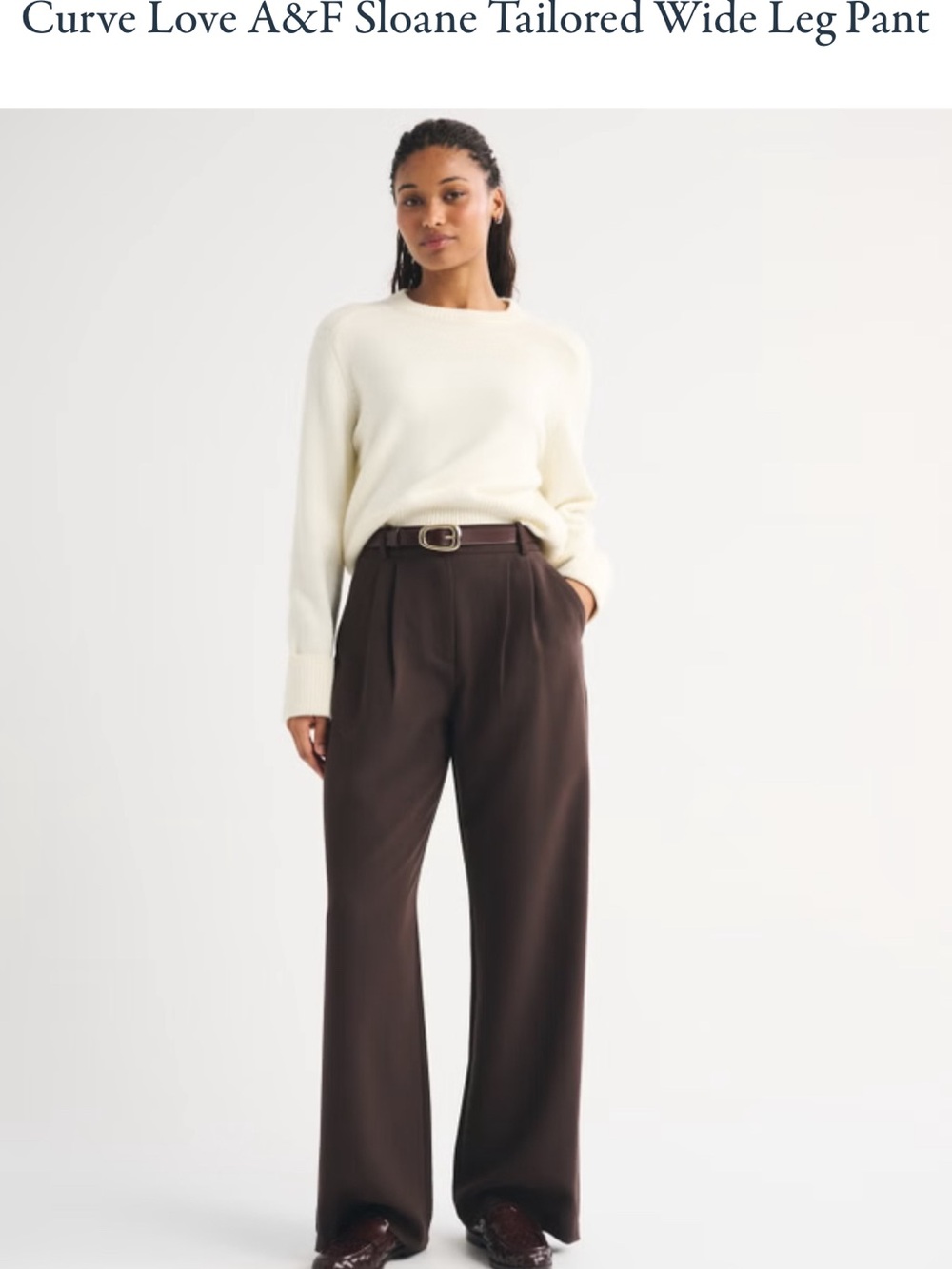 Abercrombie & Fitch Wide Leg Tailored Pant in Dark Brown 26SHORT